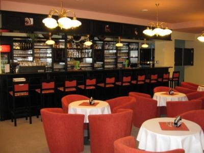 Hotel Manes Svratka Экстерьер фото